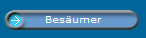 Besumer