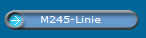 M245-Linie 